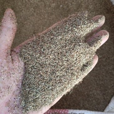 花生叶粉牛羊马鹿驴天然好草料***