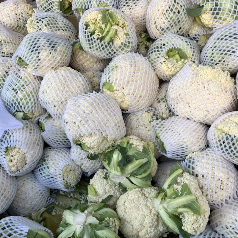 精品松花菜菜花花菜有机花菜白面青梗小米粒量大