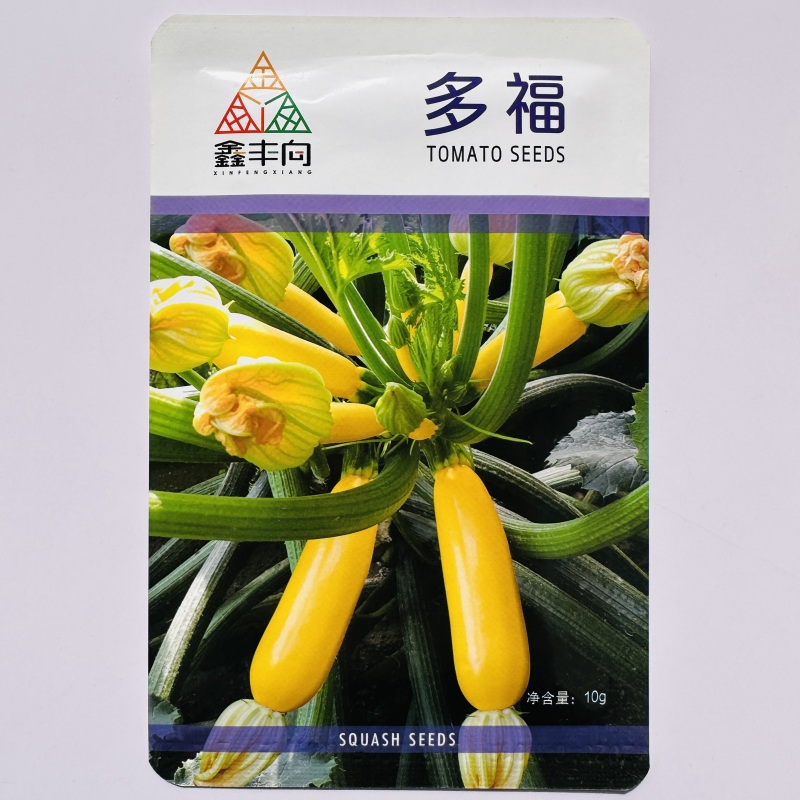 多福水果西葫芦种子黄色油亮香蕉西葫芦种子春秋菜瓜种籽茭瓜