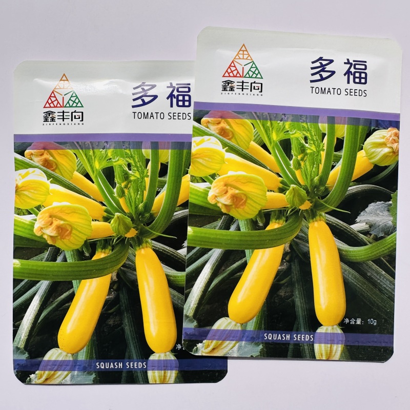 多福水果西葫芦种子黄色油亮香蕉西葫芦种子春秋菜瓜种籽茭瓜