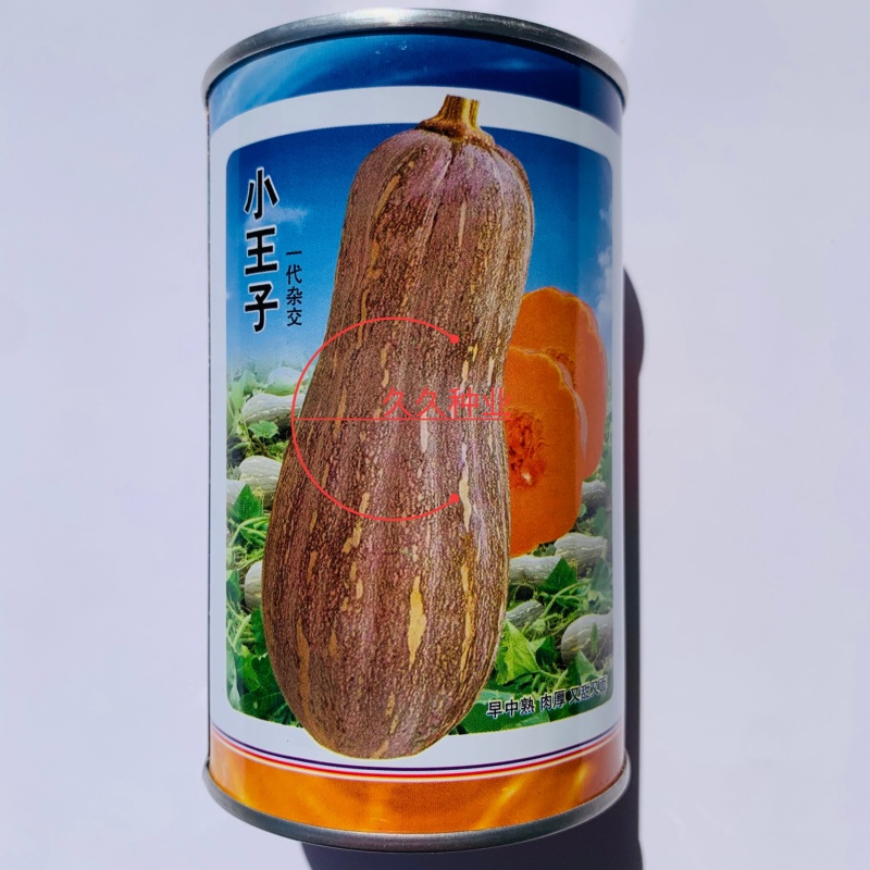 小王子杂交一代中熟南瓜种子果肉橙红粉面细腻味甜硬度高长