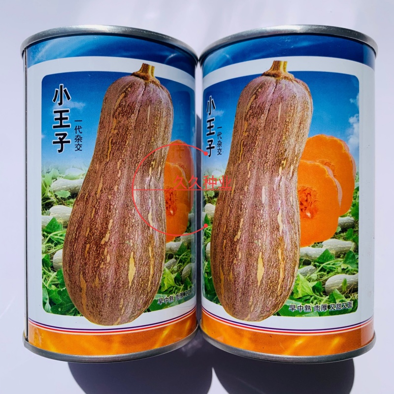 小王子杂交一代中熟南瓜种子果肉橙红粉面细腻味甜硬度高长