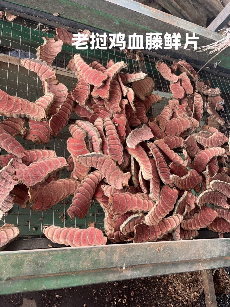 出售老挝鸡血藤现货，货美价优***********郑