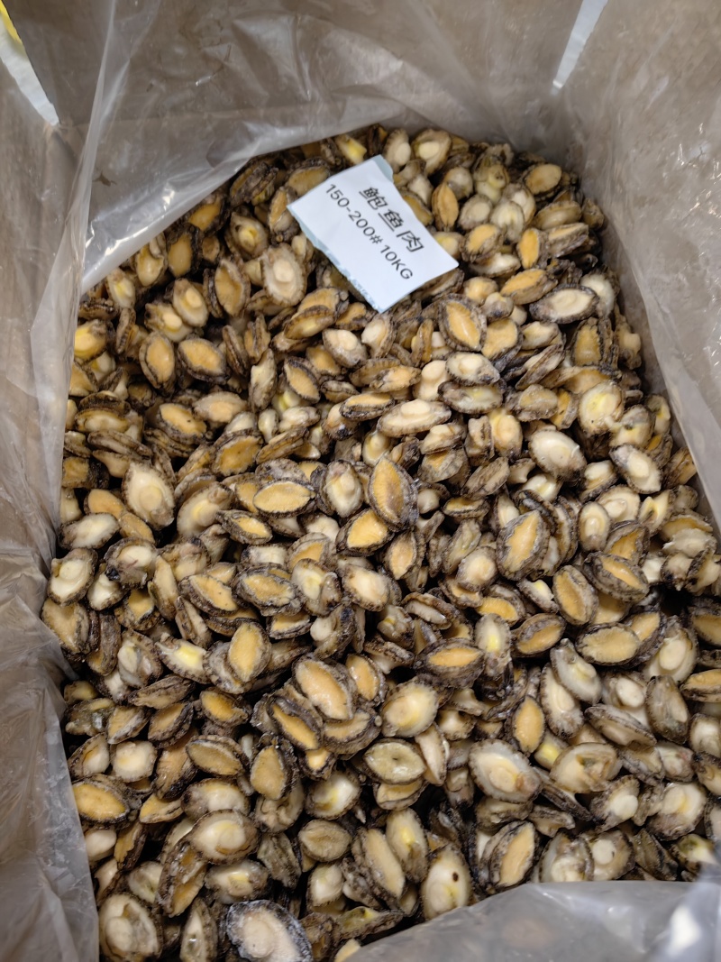 鲍鱼肉新鲜200-300头小鲍鱼速冻海鲜粽子红烧食材批发