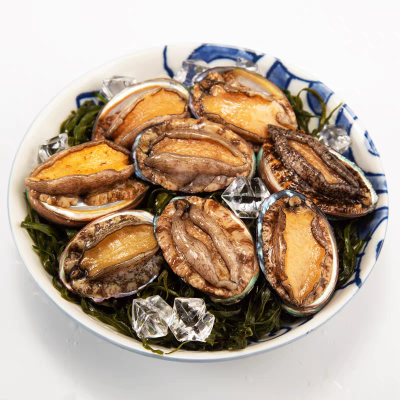 鲍鱼肉新鲜200-300头小鲍鱼速冻海鲜粽子红烧食材批发