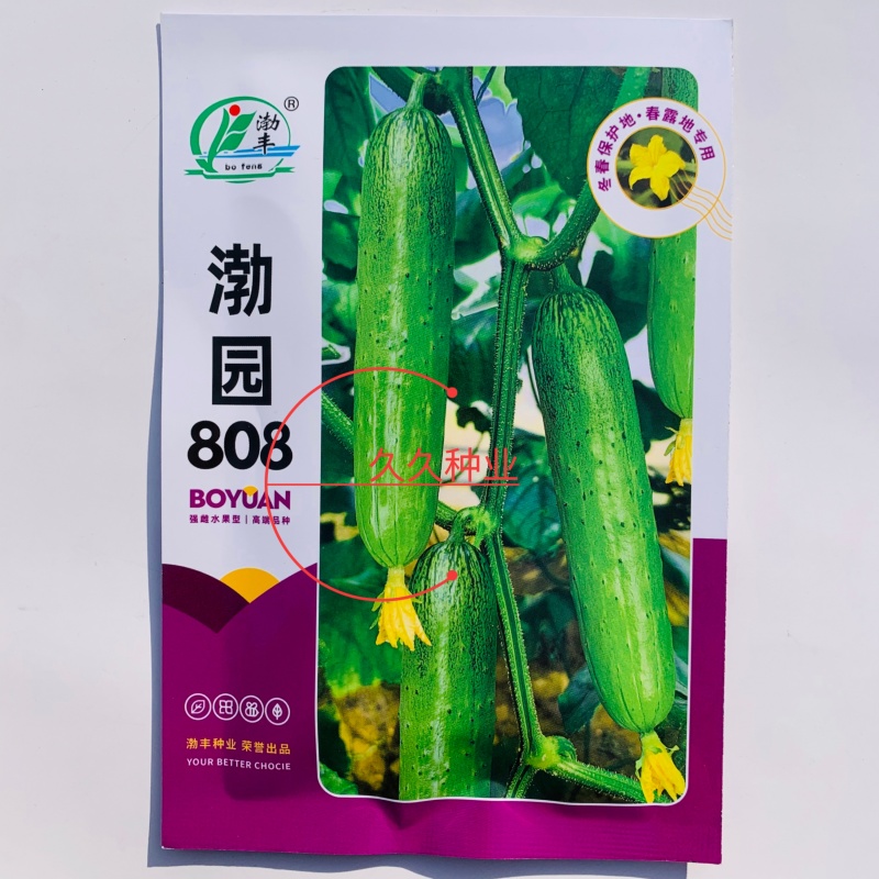 渤园808水果黄瓜种子强雌早熟短棒绿肉清香脆甜节节有瓜