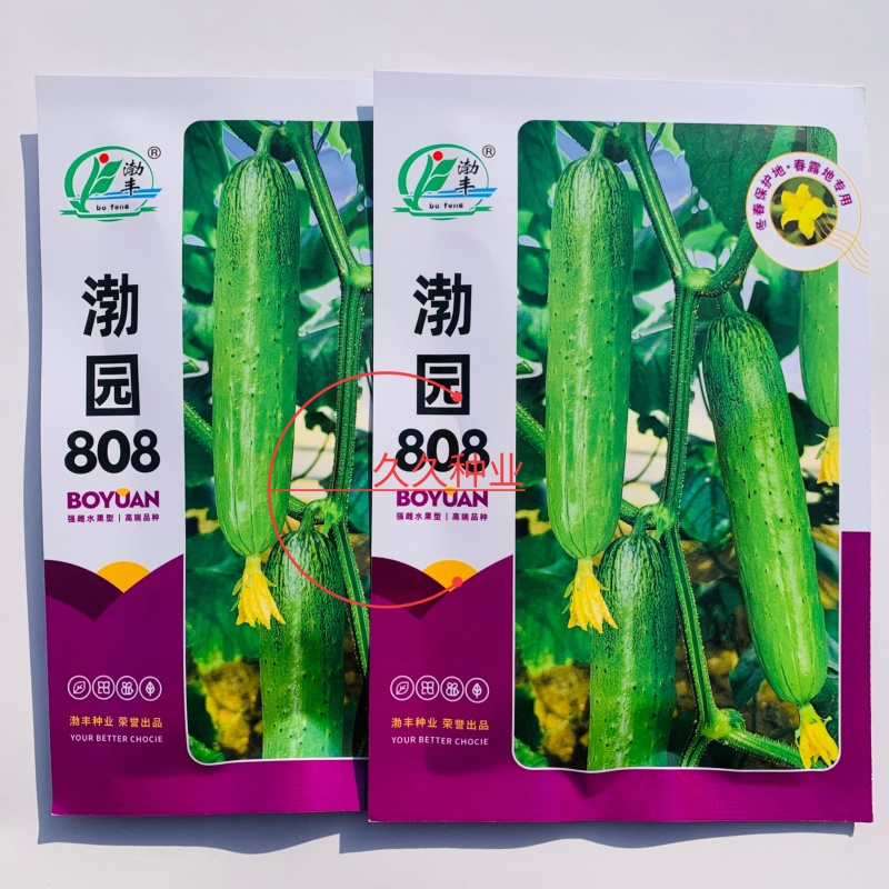 渤园808水果黄瓜种子强雌早熟短棒绿肉清香脆甜节节有瓜