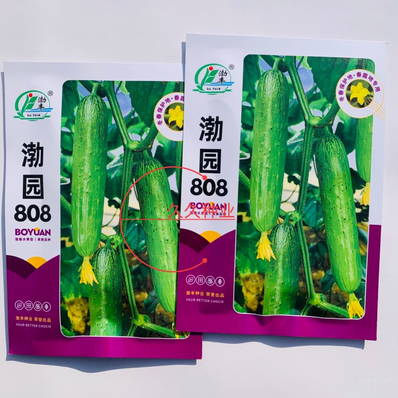 渤园808水果黄瓜种子强雌早熟短棒绿肉清香脆甜节节有瓜