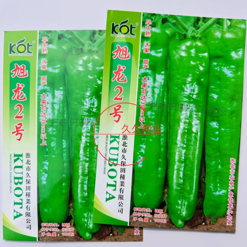 旭龙2号号辣椒种子一代杂交早熟薄皮大果牛角椒青椒菜椒