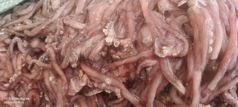 鱿鱼须大量供应，价格不贵，适合各种，大型食堂学校，自助餐