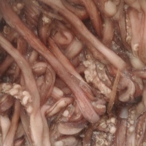 鱿鱼须大量供应，价格不贵，适合各种，大型食堂学校，自助餐