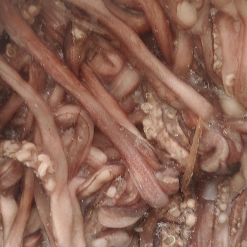 鱿鱼须大量供应，价格不贵，适合各种，大型食堂学校，自助餐