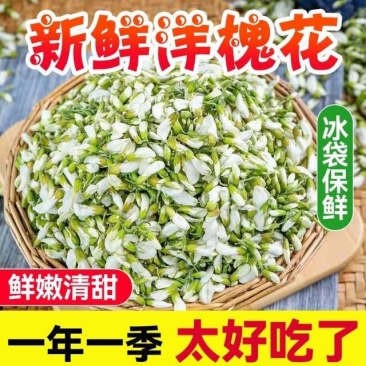 2026新鲜洋槐花酒店团购电商一件代发