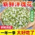 2026新鲜洋槐花酒店团购电商一件代发