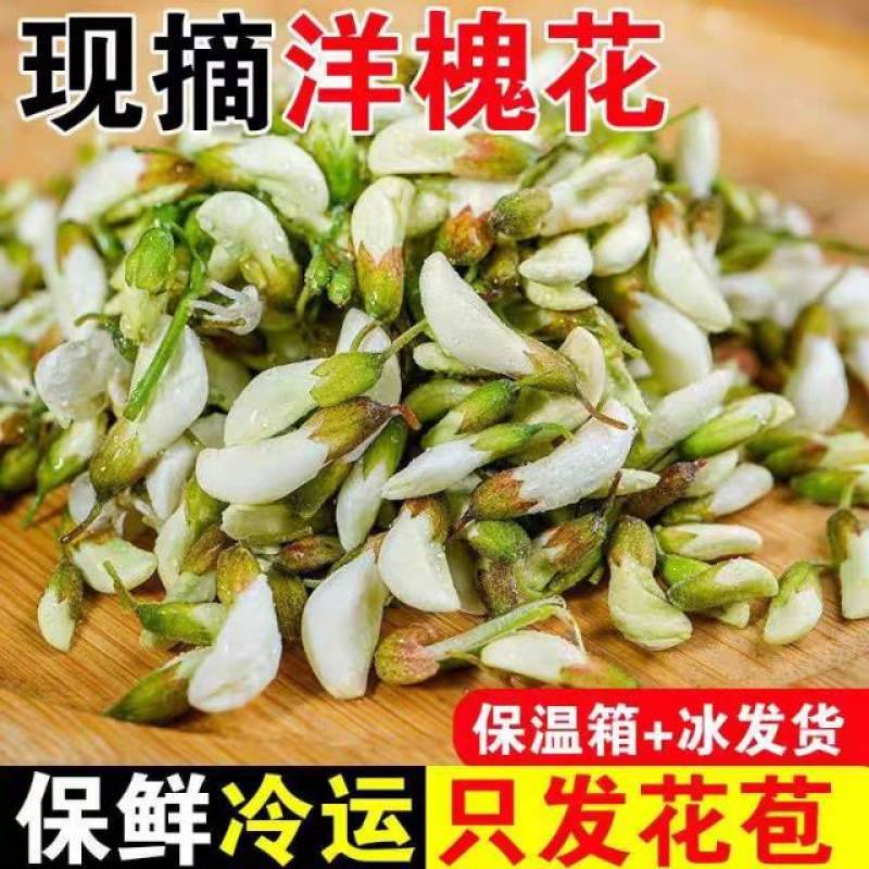 2026新鲜洋槐花酒店团购电商一件代发