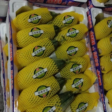 羊角蜜大量上市