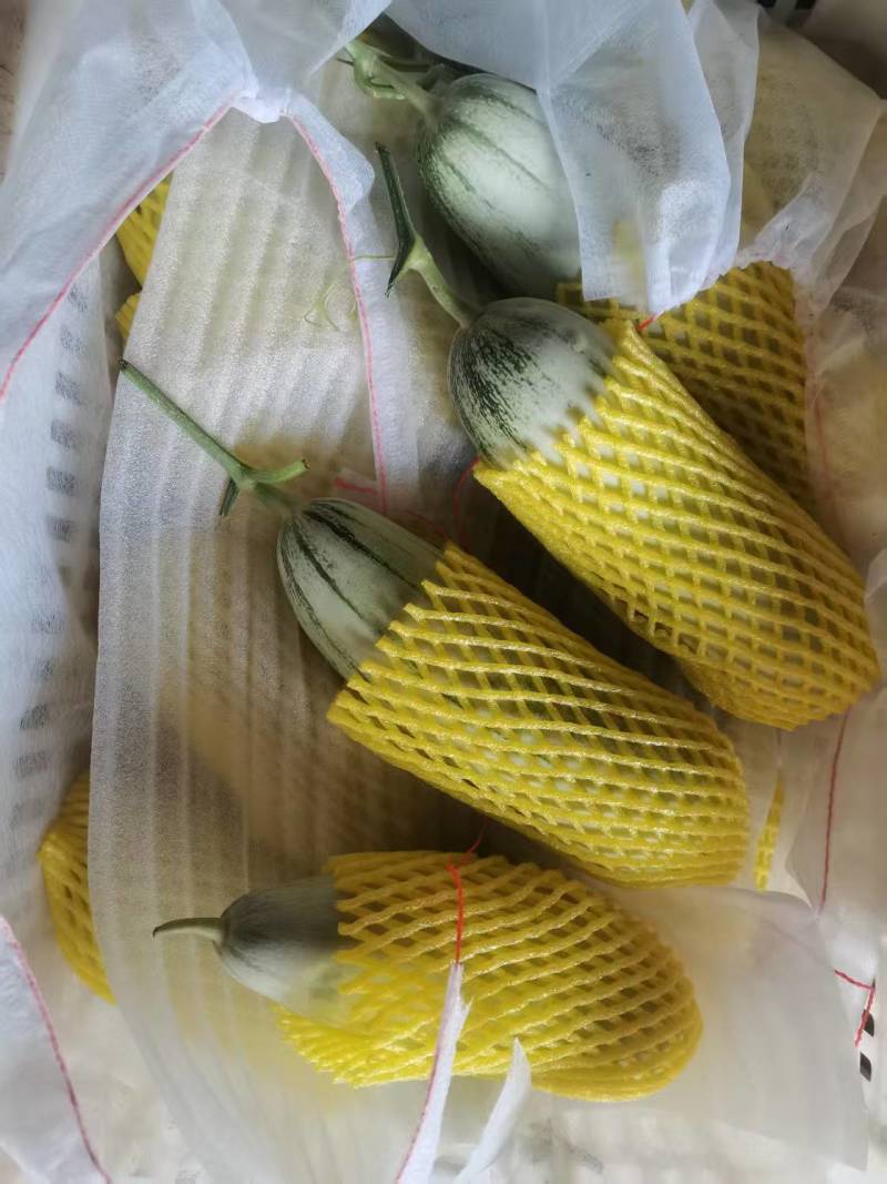 羊角蜜大量上市