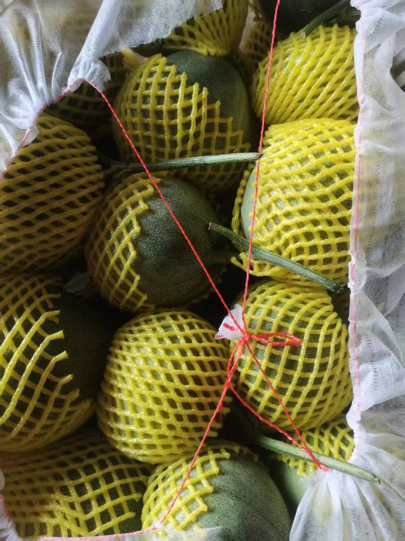 羊角蜜大量上市