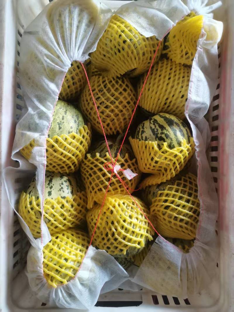 羊角蜜大量上市