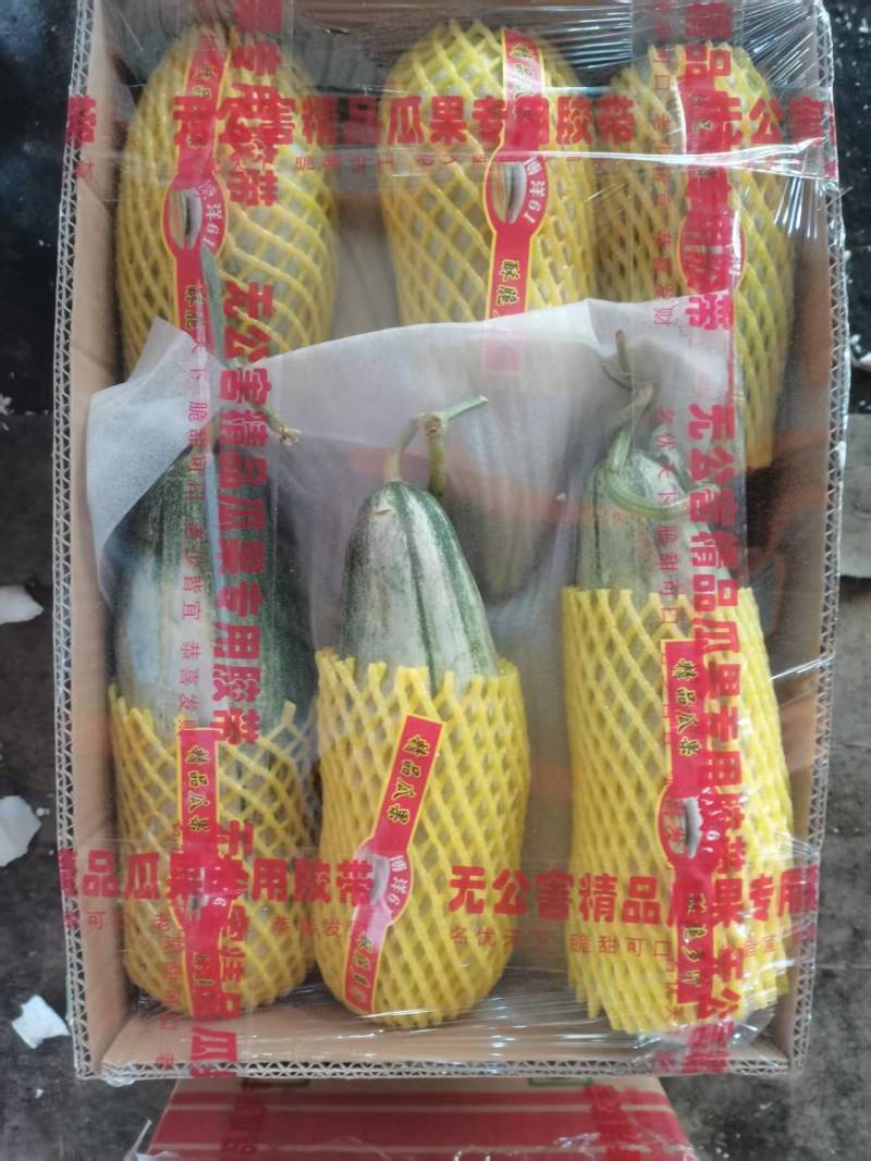 羊角蜜大量上市