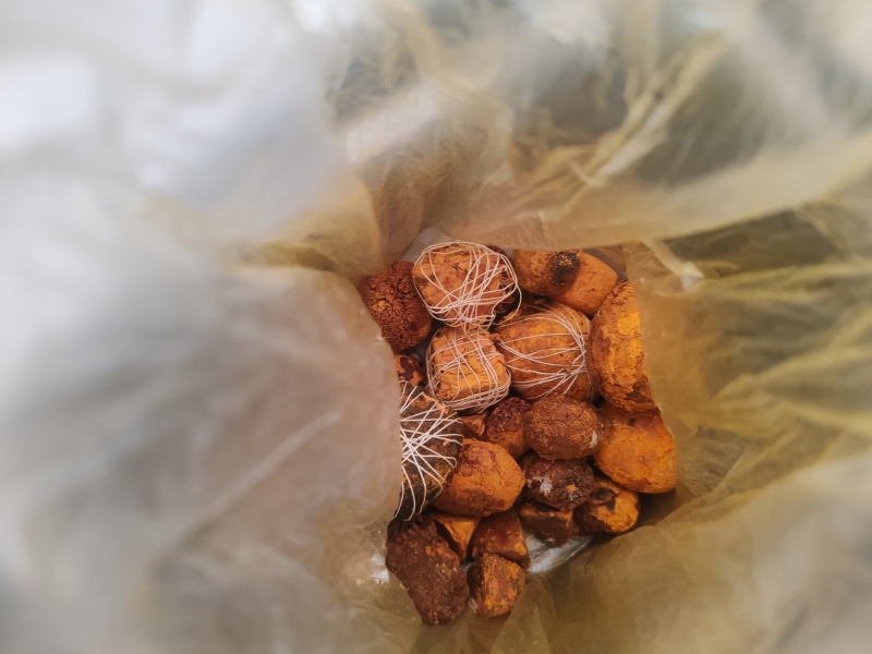 天然牛黄回收