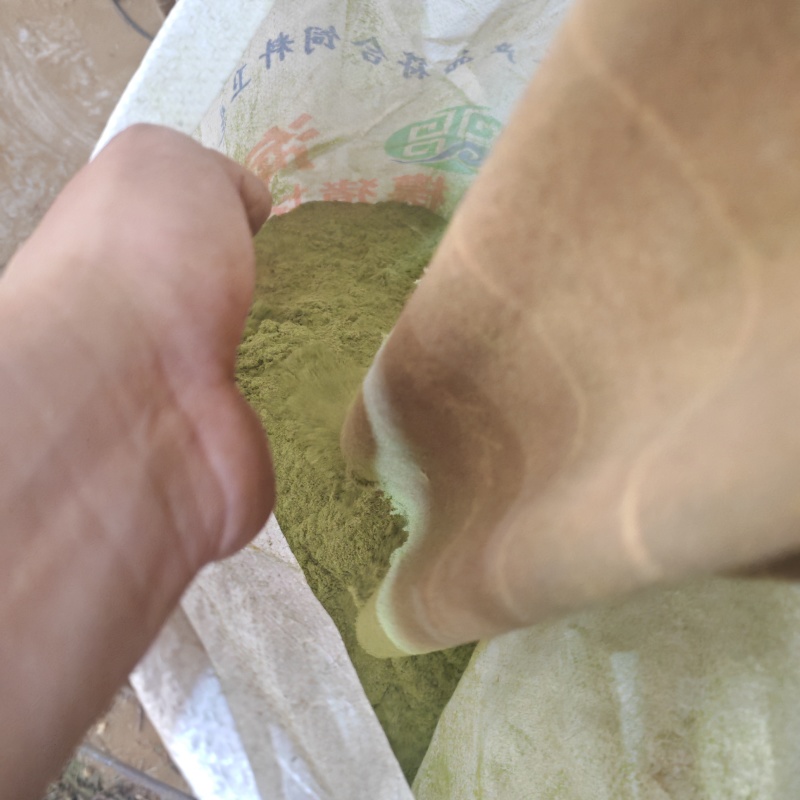 80目侧柏叶粉质量保证量大从优诚信经营欢迎咨询