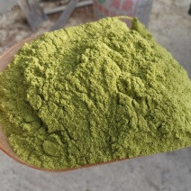 80目侧柏叶粉质量保证量大从优诚信经营欢迎咨询
