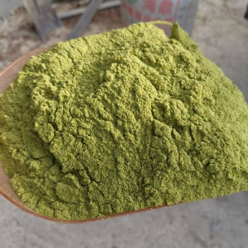 80目侧柏叶粉质量保证量大从优诚信经营欢迎咨询