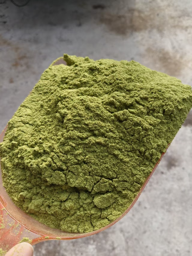 80目侧柏叶粉质量保证量大从优诚信经营欢迎咨询