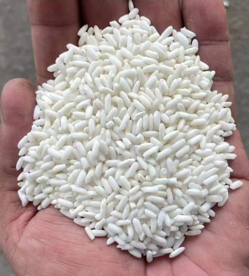 俊佳越南大糯米厂家直销当季新米价格实惠