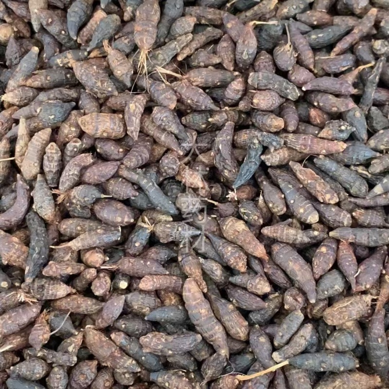 香附子【包邮】三斤起发货可批量可零售量大从优