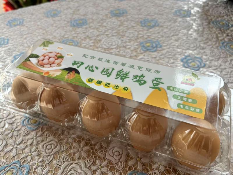 礼盒装精品柴鸡蛋，文昌鸡土鸡蛋，大量现货速发欢迎选购