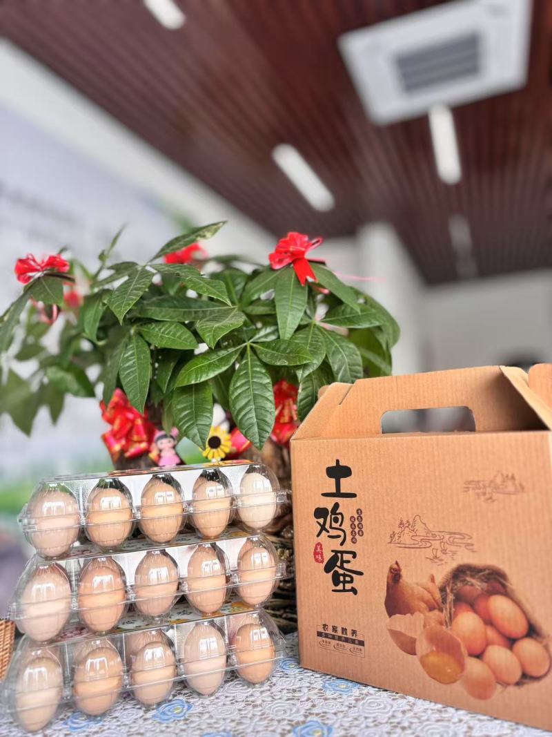 礼盒装精品柴鸡蛋，文昌鸡土鸡蛋，大量现货速发欢迎选购