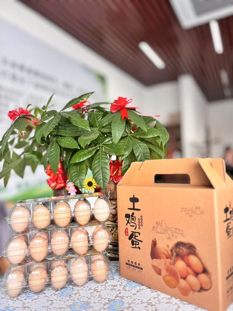 礼盒装精品柴鸡蛋，文昌鸡土鸡蛋，大量现货速发欢迎选购