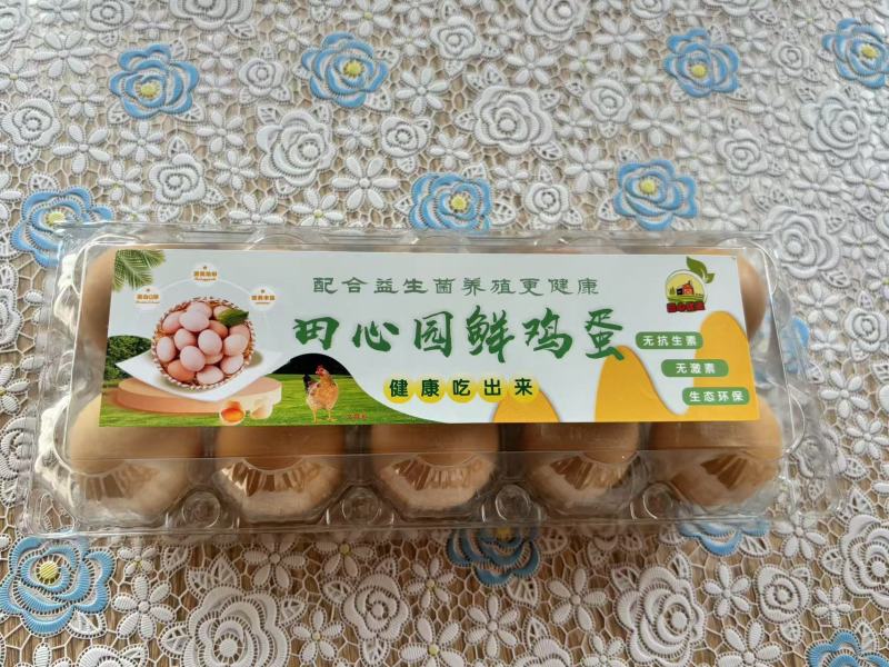 礼盒装精品柴鸡蛋，文昌鸡土鸡蛋，大量现货速发欢迎选购