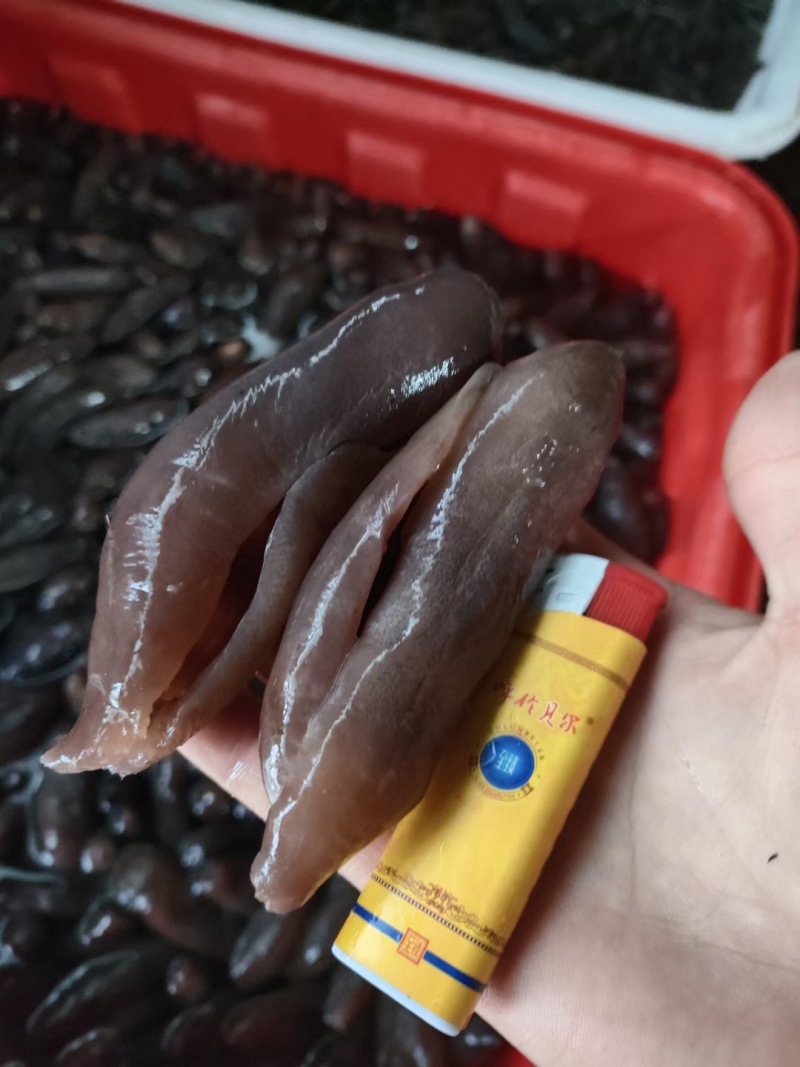 中号茄参七成干海地瓜高涨发海番薯质量好