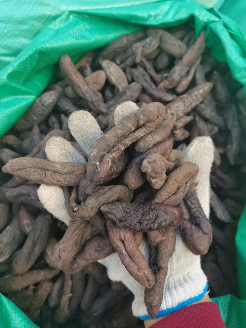 中号茄参七成干海地瓜高涨发海番薯质量好