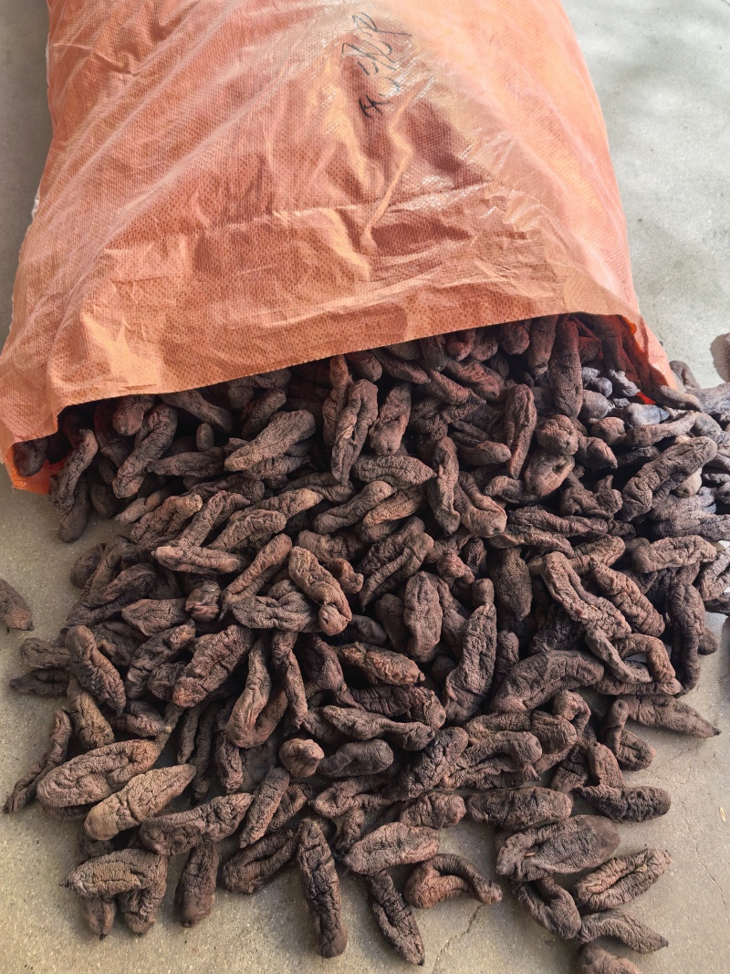 中号茄参七成干海地瓜高涨发海番薯质量好