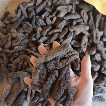中号茄参七成干海地瓜高涨发海番薯质量好