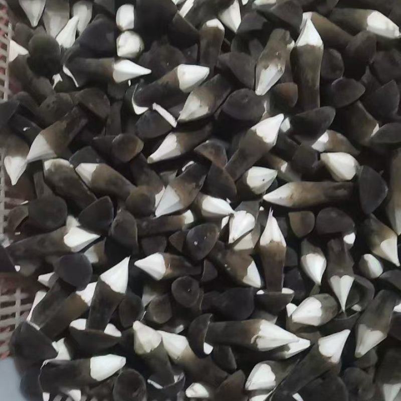 精品黑皮鸡枞菇鲜货