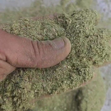 藏传佛教用品.药供粉