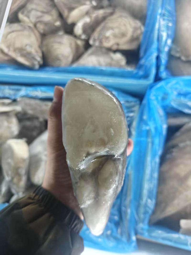碟鱼头可红烧烤焖