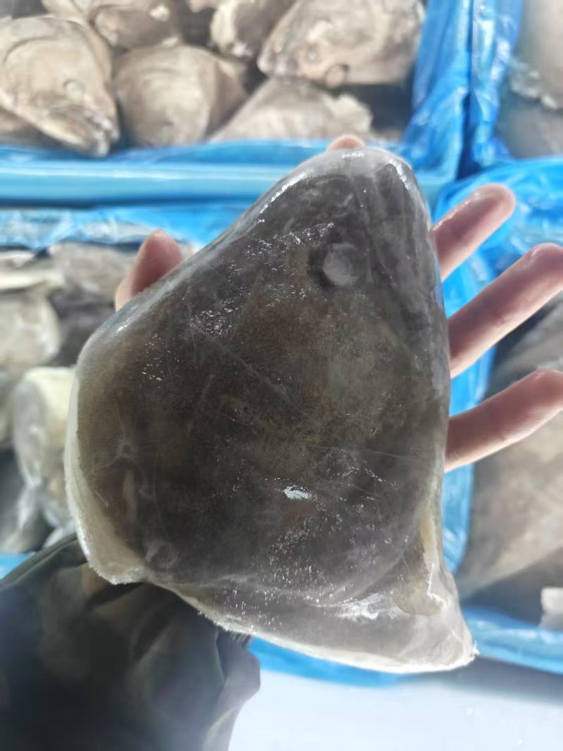 碟鱼头可红烧烤焖