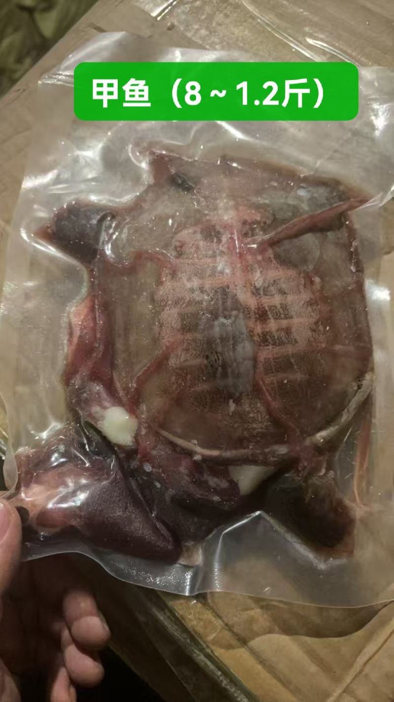 甲鱼去皮去内脏