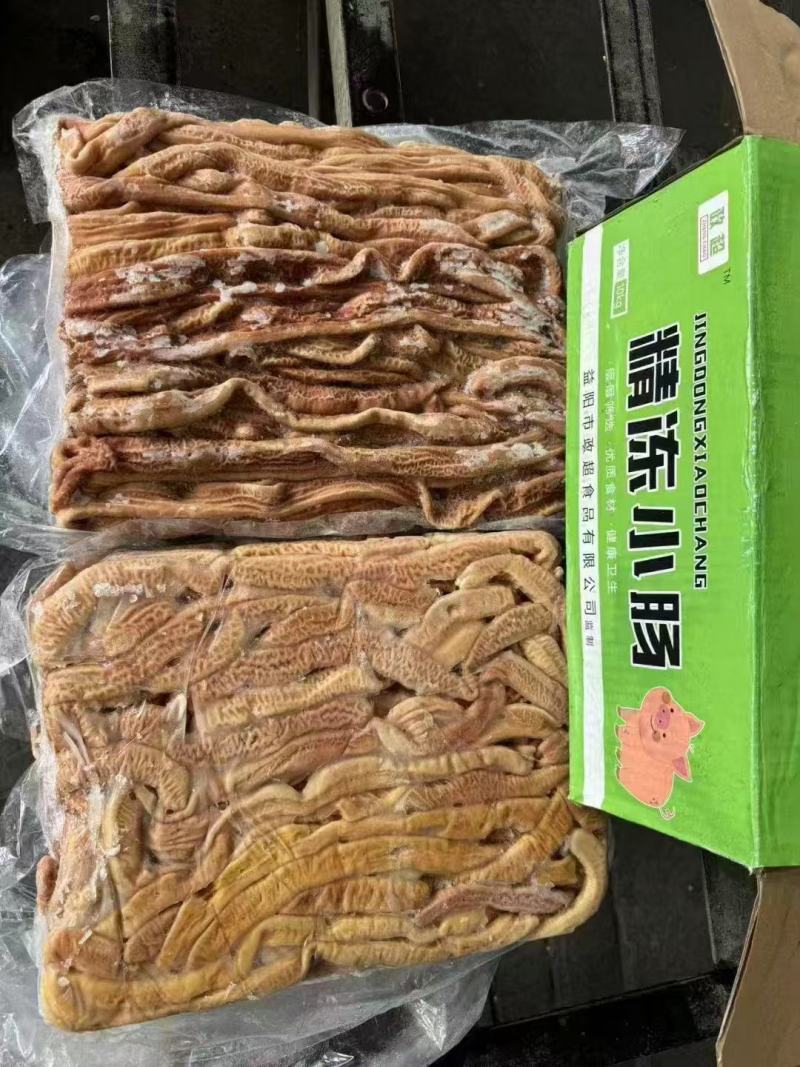 猪小肠