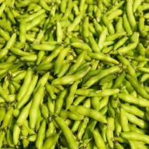 胡豆