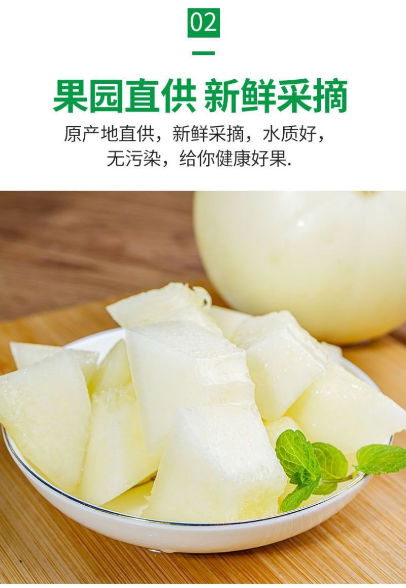 陕西阎良头茬甜瓜大量上市，对接一件代发社区团购，落地配，