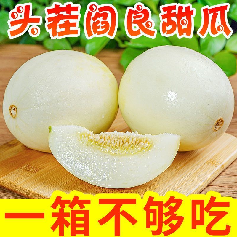 陕西阎良头茬甜瓜大量上市，对接一件代发社区团购，落地配，
