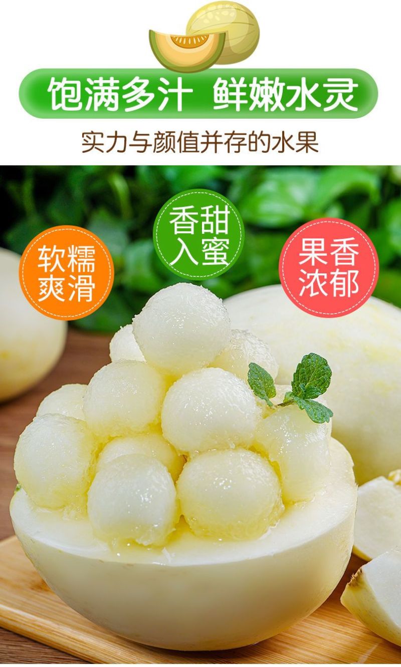 陕西阎良头茬甜瓜大量上市，对接一件代发社区团购，落地配，