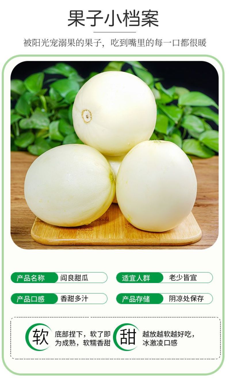 陕西阎良头茬甜瓜大量上市，对接一件代发社区团购，落地配，